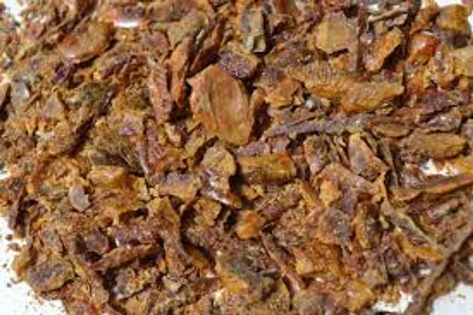 Surový propolis