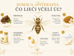 apiterapia